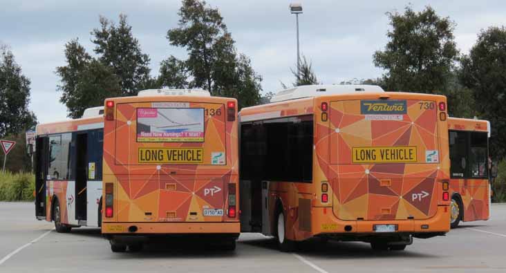 Ventura Scania L94UA Volgren CR224L 136 & 730